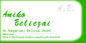 aniko beliczai business card